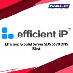 Efficient Ip Solid Server SDS 5570 DNS Blast