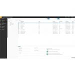 SolarWinds Dameware Remote Everywhere (Subscription)