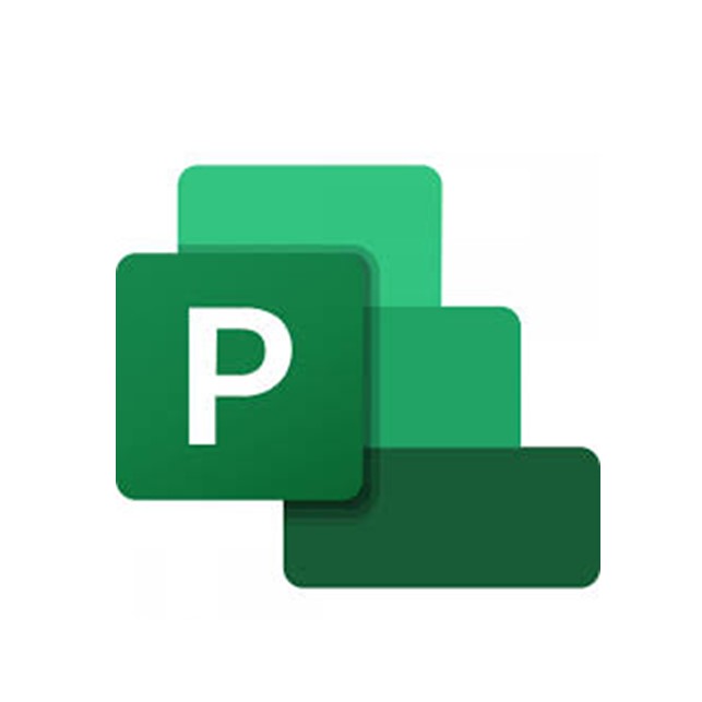 Microsoft Project Plan 3 / Years