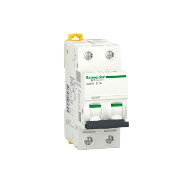 Schneider iC60H - miniature circuit breaker - 2P - 4A - C curve