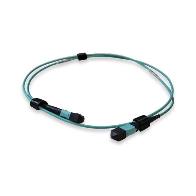 Allied Telesis MTP cable for AT-QSFPSR, 5 Meter (AT-MTP12-5)